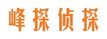 南岳市私家侦探